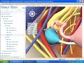 Tutorial do Website Visible Body Tutorial do Website Visible Body