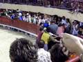 videos de rodeo de lucho a mauguio