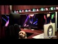 This-Video-Will-Get-