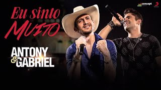 Antony e Gabriel - Eu sinto muito
