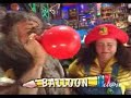 O Mundo de Beakman brinquedos beakmania papagaios 1996 (01)