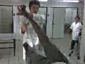 Kabat MMII 3 Kabat MMII 3