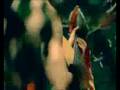 videos de What A Wonderful World - Bob Sinclar amp Axwell feat. Ron Carroll