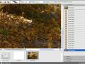Using Pressure Sensitive Wacom Brushes with Photoshop Elemen