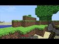Minecraft video