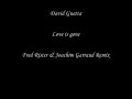 David Guetta-Love is gone (Fred Rister & Joachim Garraud Rem