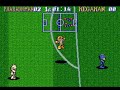 now this is one fun game! its kinda sad that it never came out in europe, considering how popular the sport is over here. still it made to the us, wich means at least we got to import it. basicly this is capcom's take on kunio soccer league games from the nes (remaked into nintendo world cup in europe) on megaman's universe. it was really great the way you could build your team from all the bosses and each had a speacil power that truly affected the outcome. great game, highy underrated ...