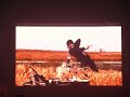 Shinhwa 10th Anniversary Concert MV clip pt. 2