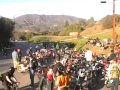 Flock Yeah! Latebirds Los Angeles Moped Army Rally