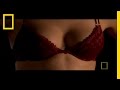 Secret History of the Bra