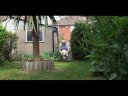  balance channel four channel4 collapse documentary dog fall jack russell