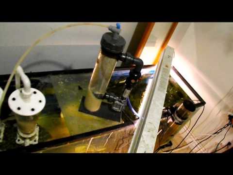 how to eliminate nitrates in aquarium