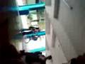 videos de 1029080950-00.3gp