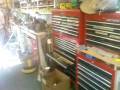 videos de Berkeley Tool Lending Library