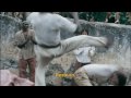 watch the english version of the official trailer from besouro, movie about the brazilian capoeira legend besouro mangang�. produced by mixer and globo films, distributed by miravista, the film is directed by jo�o daniel tikhomiroff. release estimated for november, 2009.