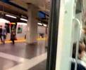 Metrogenova