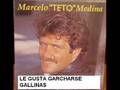 le gusta xxxxx las gallinas - fede musics