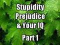Stupid, Prejudice & your IQ - PART 1