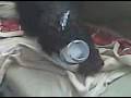 videos de cute dog.