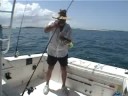 Reef Fishing in Abaco