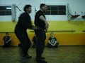 Taijutsu no Hatten Kyoku
