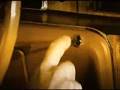 Moss Light Of My Life Official Music Video and Lyrics