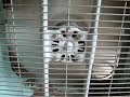 Vintage 1964 Lakewood Country Aire 14\" Box Fan
