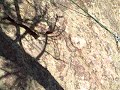 1st Belay Station