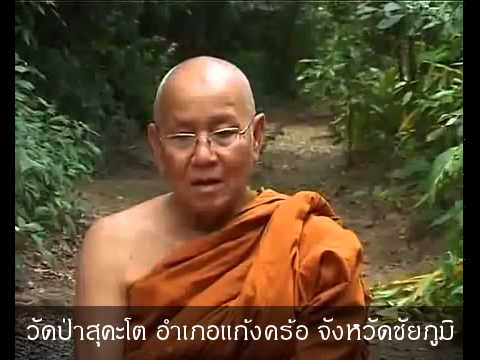 แนะนำวัดป่าสุคะโต