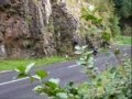 Cheddar Gorge Downhill Gravity Run Pt 2