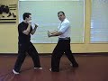 AKKF - Mohamad Tabatabai - American Kenpo- 14 Stances