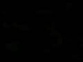 videos de Eks Vador.MP4