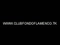 FONDO FLAMENCO EN LEPE