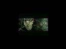 You Don't Know - Eminem Ft 50 Cent & Cashis & Lloyd Banks
