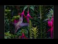 Natureza