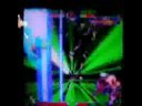 videos de dos pichones