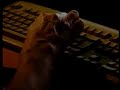 Internet Helpline -- Linka bezpečí