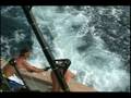Alabama State Record Bluefin