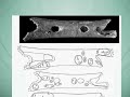 Os misteriosos instrumentos musicais da antiguidade Os misteriosos instrumentos musicais da antiguidade