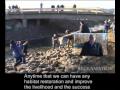 Partnership Results in Restoration of Fish Passage