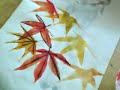 Food Colouring - Maple