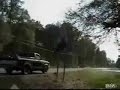 Kid Jumps From Truck Into Signs