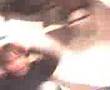 videos de Stef valt dr neffe
