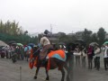 和式馬術供覧　7.打毬の紹介　2009年11月1日
