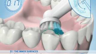 Oral-B Toothbrush