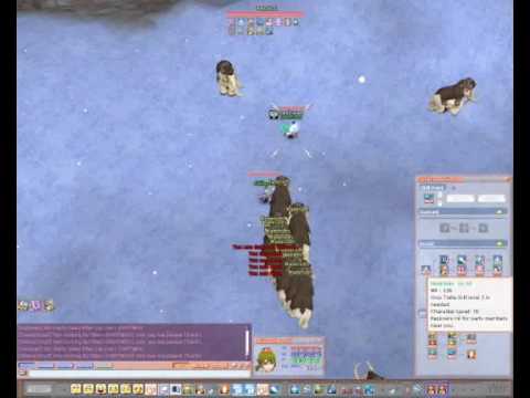 Flyff RM Lvling To Lvl 91