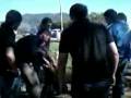 videos de NO MAMN VEIDY