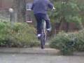 Damo n dave 1.3gp