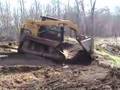 Day Three of the Rawmodel Permaculture Project