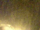 08 Halloween Night Arcata CA